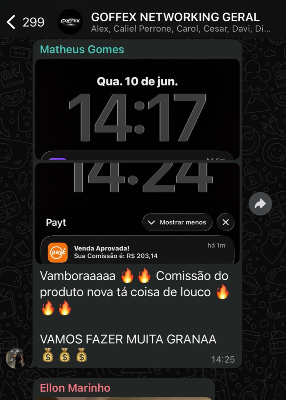 Conversa real de network da GOFFEX com venda aprovada